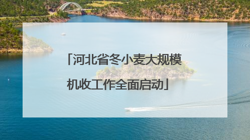 河北省冬小麦大规模机收工作全面启动