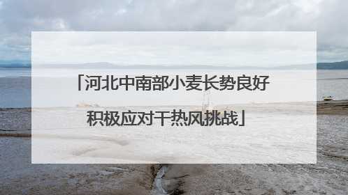 河北中南部小麦长势良好 积极应对干热风挑战
