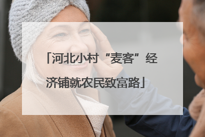 河北小村“麦客”经济铺就农民致富路