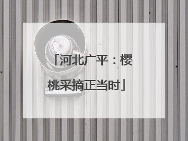 河北广平：樱桃采摘正当时