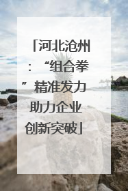 河北沧州：“组合拳”精准发力 助力企业创新突破