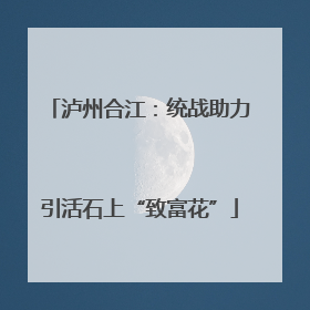 泸州合江：统战助力引活石上“致富花”