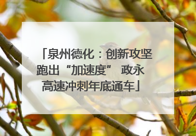 泉州德化：创新攻坚跑出“加速度” 政永高速冲刺年底通车