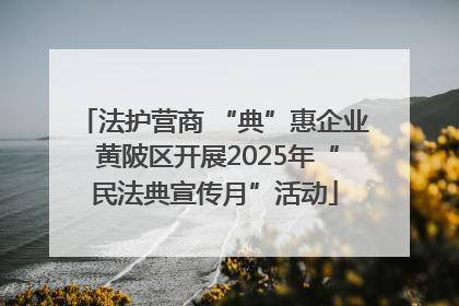 法护营商 “典”惠企业 黄陂区开展2025年“民法典宣传月”活动