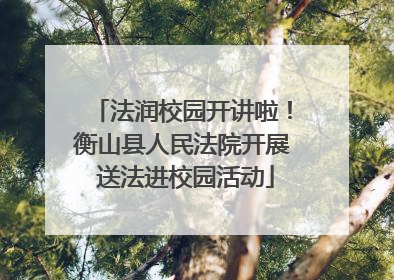 法润校园开讲啦！衡山县人民法院开展 送法进校园活动