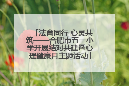 法育同行 心灵共筑——合肥市五一小学开展结对共建暨心理健康月主题活动