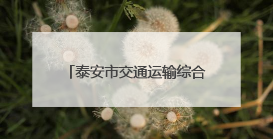泰安市交通运输综合执法支队开展“安全生产月”系列活动