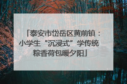 泰安市岱岳区黄前镇：小学生“沉浸式”学传统 粽香荷包暖夕阳