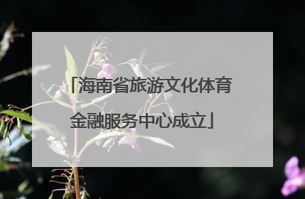 海南省旅游文化体育金融服务中心成立