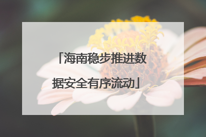海南稳步推进数据安全有序流动