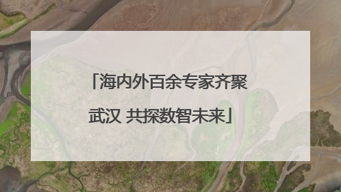 海内外百余专家齐聚武汉 共探数智未来