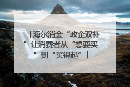 海尔消金“政企双补”让消费者从“想要买”到“买得起”