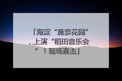 海淀“莫奈花园”，上演“稻田音乐会”！现场直击