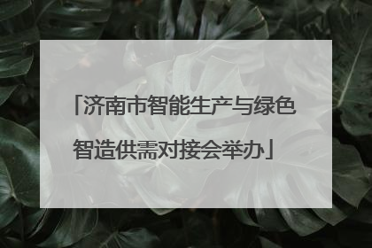 济南市智能生产与绿色智造供需对接会举办