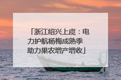浙江绍兴上虞：电力护航杨梅成熟季 助力果农增产增收