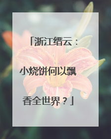 浙江缙云：小烧饼何以飘香全世界？