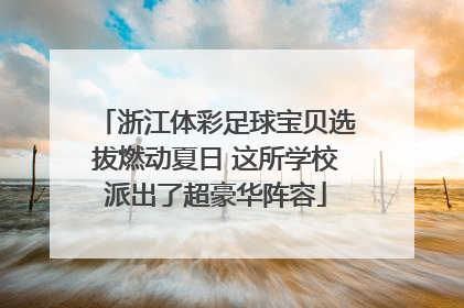 浙江体彩足球宝贝选拔燃动夏日 这所学校派出了超豪华阵容