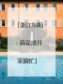 浙江东阳：荷花盛开采摘忙