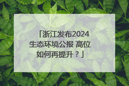 浙江发布2024生态环境公报 高位如何再提升？