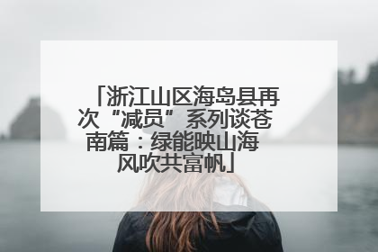 浙江山区海岛县再次“减员”系列谈苍南篇：绿能映山海 风吹共富帆