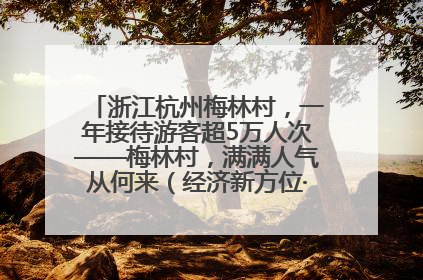 浙江杭州梅林村，一年接待游客超5万人次——梅林村，满满人气从何来（经济新方位·农村消费观察）