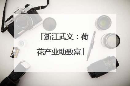 浙江武义：荷花产业助致富