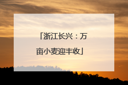 浙江长兴：万亩小麦迎丰收