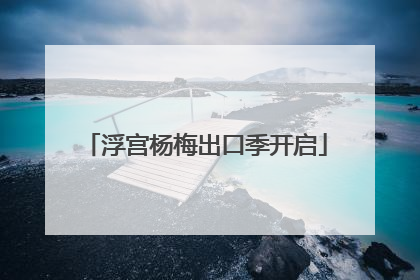 浮宫杨梅出口季开启