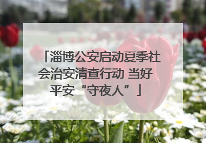 淄博公安启动夏季社会治安清查行动 当好平安“守夜人”