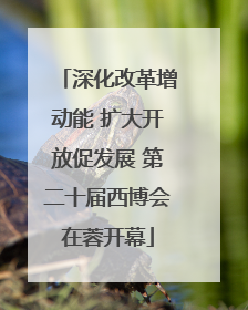深化改革增动能 扩大开放促发展 第二十届西博会在蓉开幕