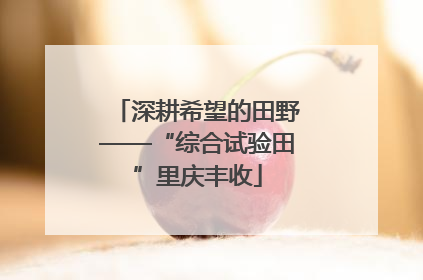 深耕希望的田野——“综合试验田”里庆丰收