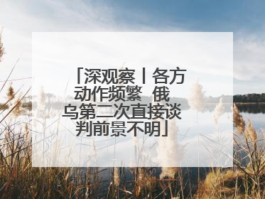 深观察丨各方动作频繁  俄乌第二次直接谈判前景不明