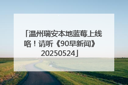 温州瑞安本地蓝莓上线咯！请听《90早新闻》20250524