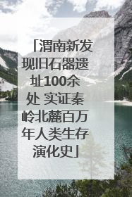渭南新发现旧石器遗址100余处 实证秦岭北麓百万年人类生存演化史
