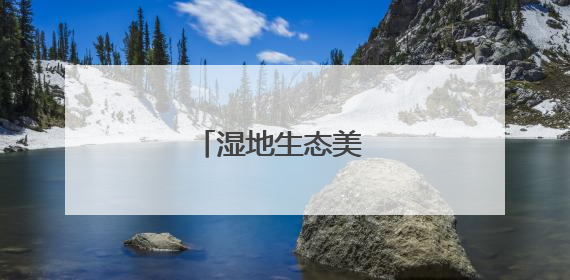 湿地生态美 夏日麋鹿欢