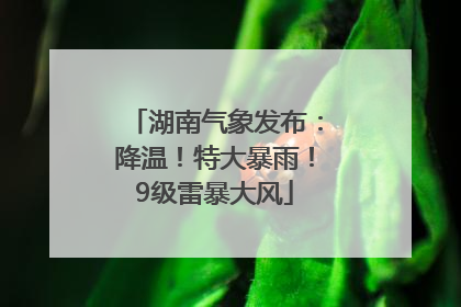 湖南气象发布：降温！特大暴雨！9级雷暴大风