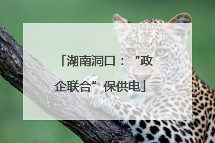 湖南洞口：“政企联合”保供电