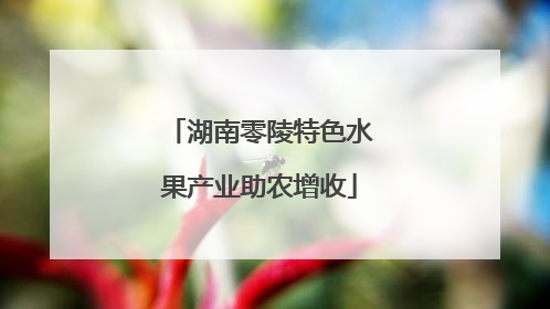 湖南零陵特色水果产业助农增收