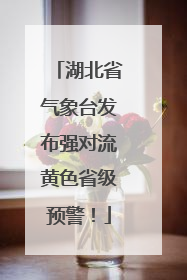 湖北省气象台发布强对流黄色省级预警！