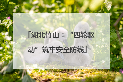 湖北竹山：“四轮驱动”筑牢安全防线