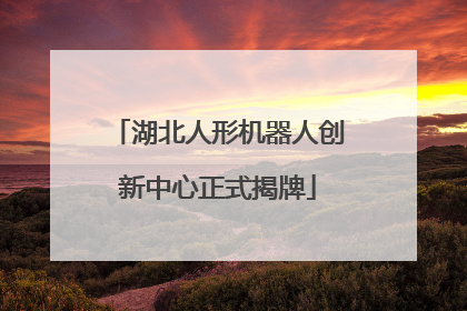 湖北人形机器人创新中心正式揭牌