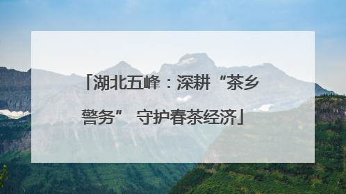 湖北五峰：深耕“茶乡警务” 守护春茶经济