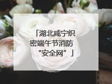 湖北咸宁织密端午节消防“安全网”