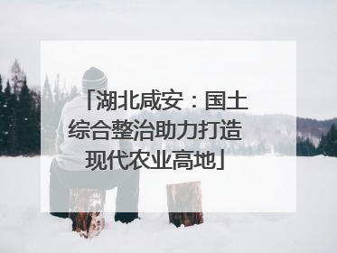 湖北咸安：国土综合整治助力打造现代农业高地