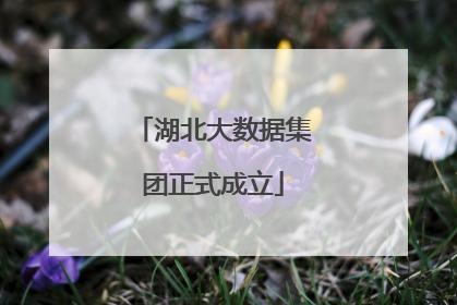 湖北大数据集团正式成立
