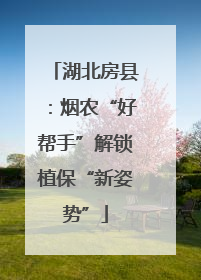 湖北房县：烟农“好帮手”解锁植保“新姿势”