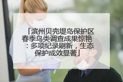 滨州贝壳堤岛保护区春季鸟类调查成果惊艳：多项纪录刷新，生态保护成效显著