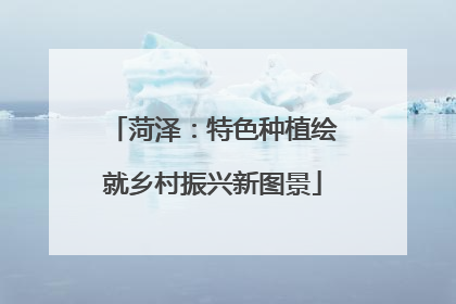 菏泽：特色种植绘就乡村振兴新图景