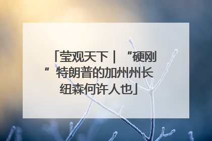 莹观天下｜“硬刚”特朗普的加州州长纽森何许人也