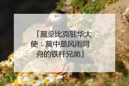 莫桑比克驻华大使：莫中是风雨同舟的铁杆兄弟